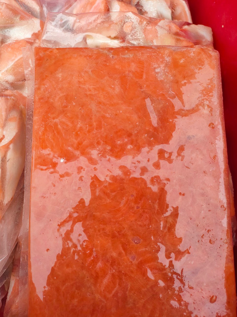 Salmon Scrape Meat